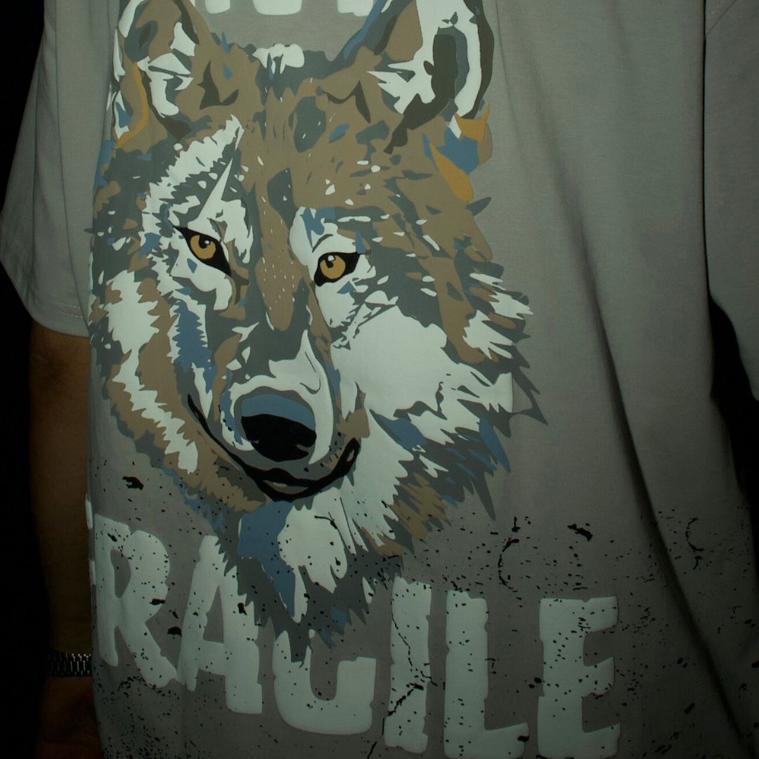 ANTI FRAGILE- S.GREY